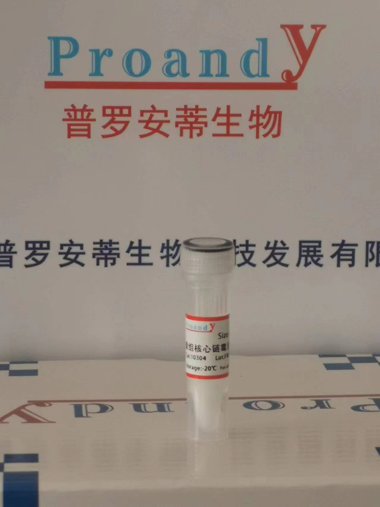 鏈霉親和素（普通）.jpg