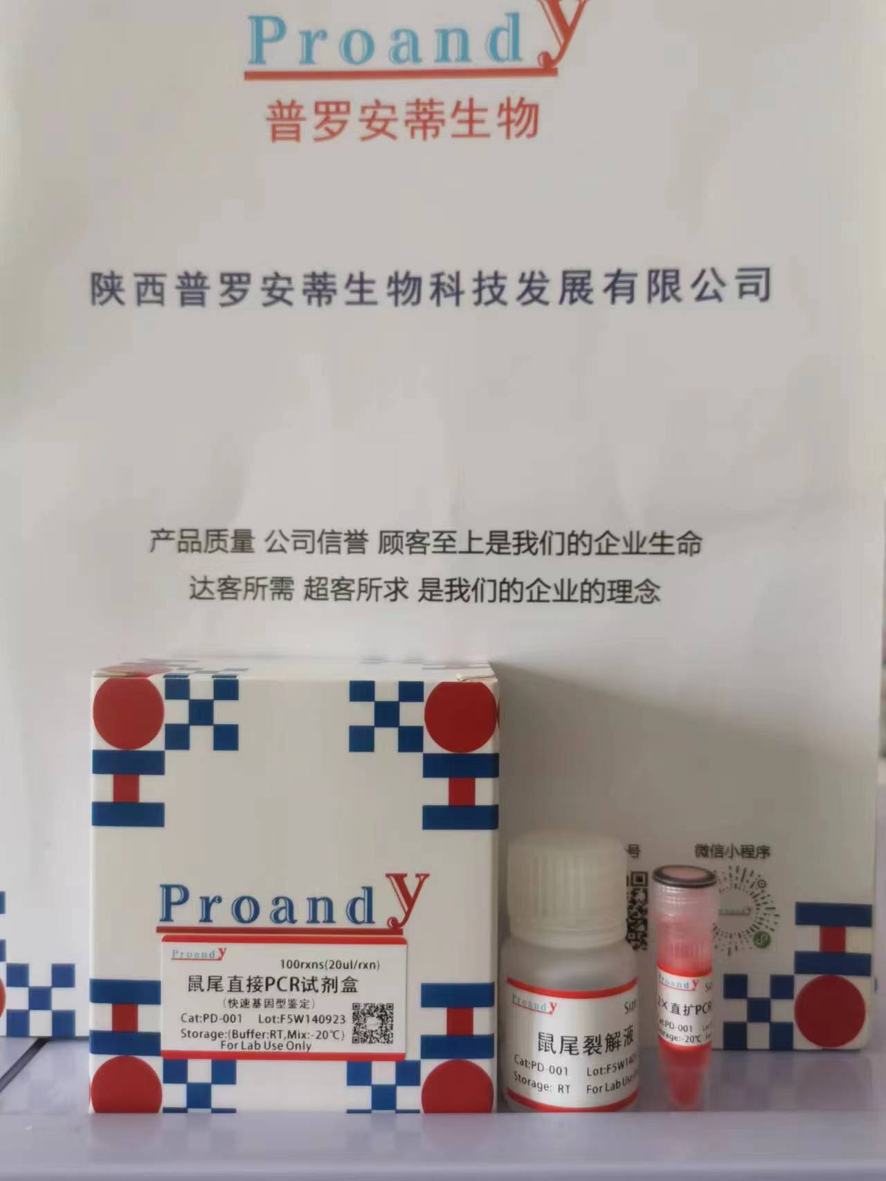 鼠尾直擴(kuò)PCR.jpg