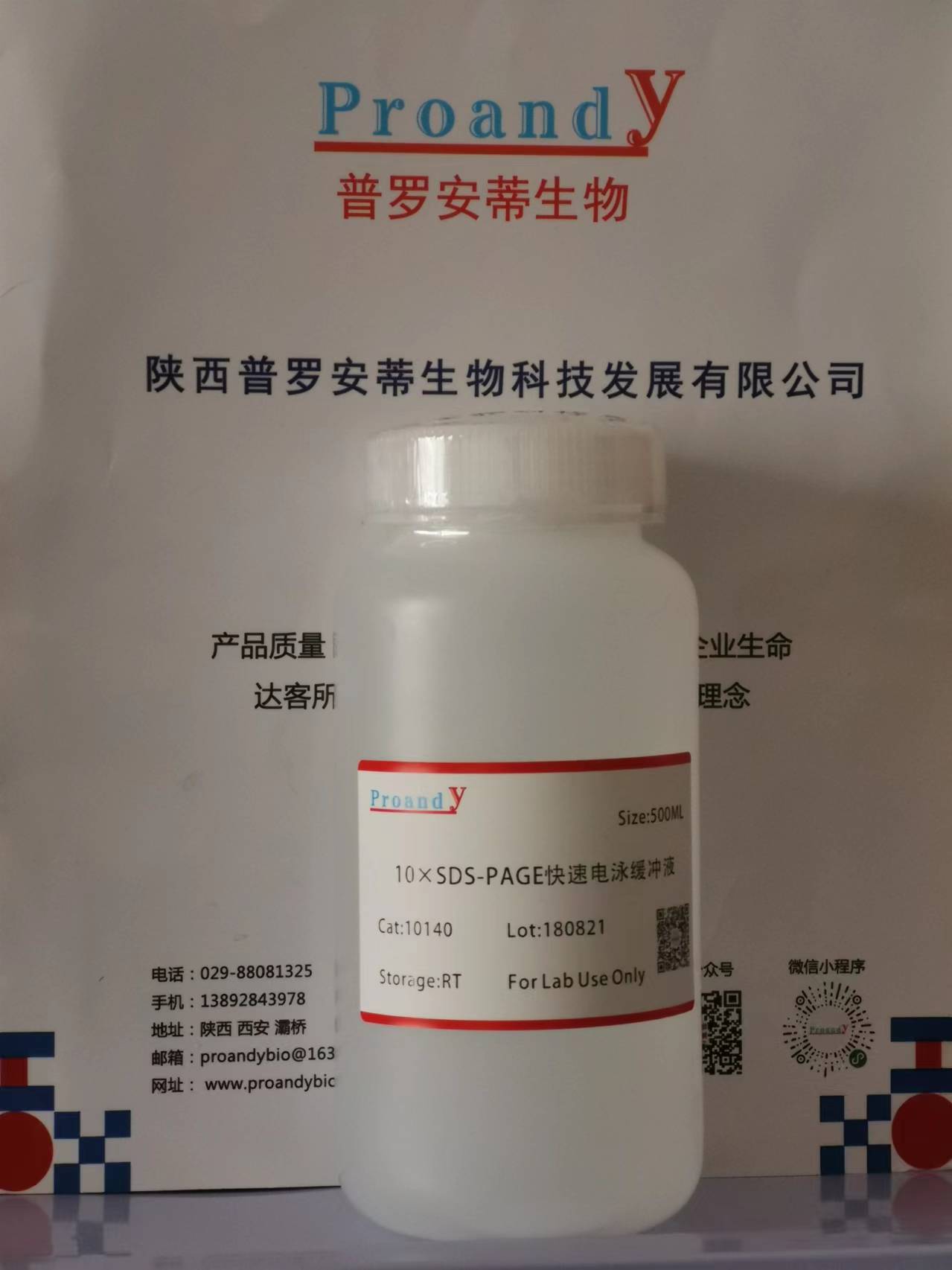 10xsds-page快速電泳液.jpg