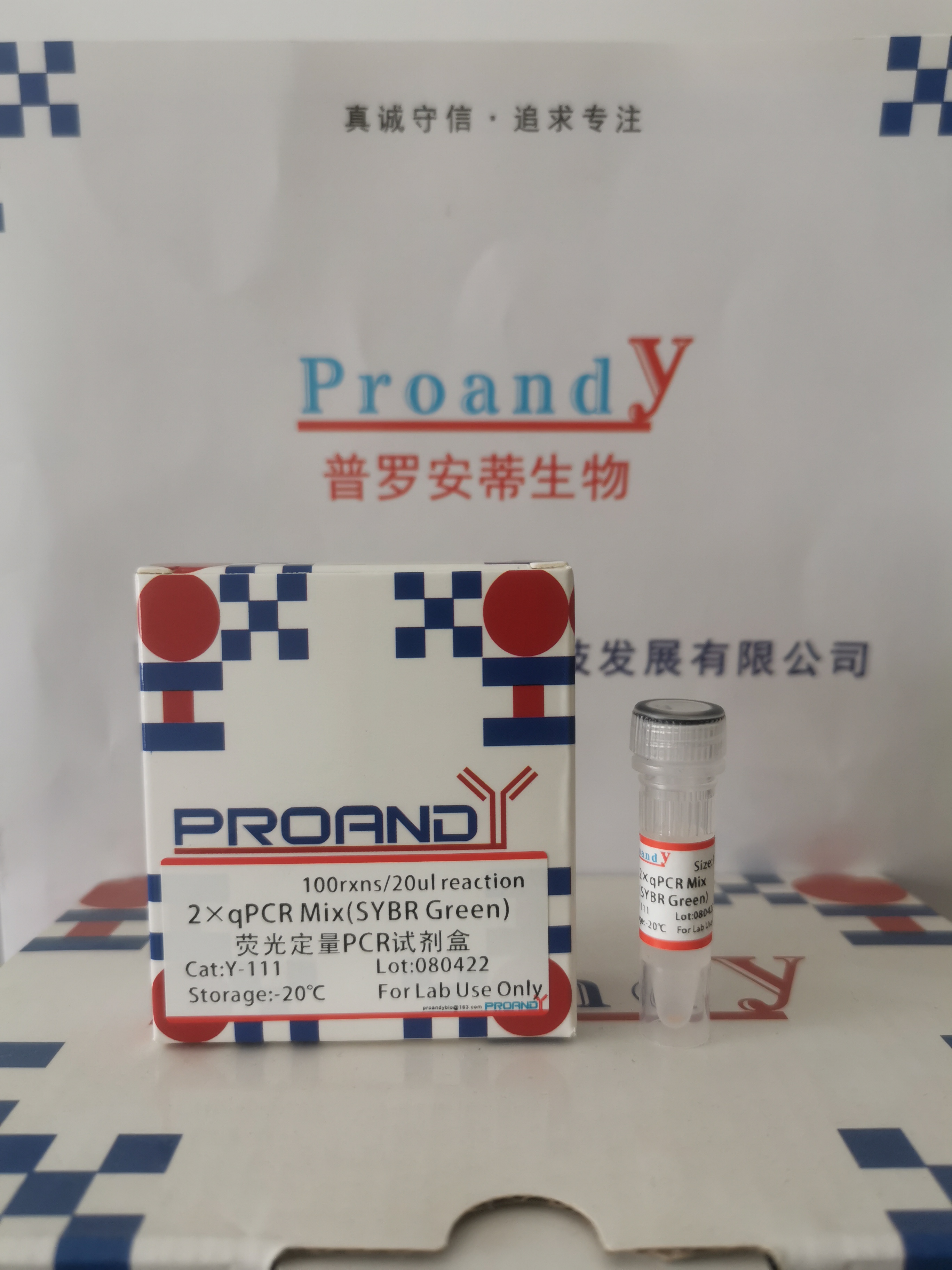 熒光定量（無ROX）.jpg