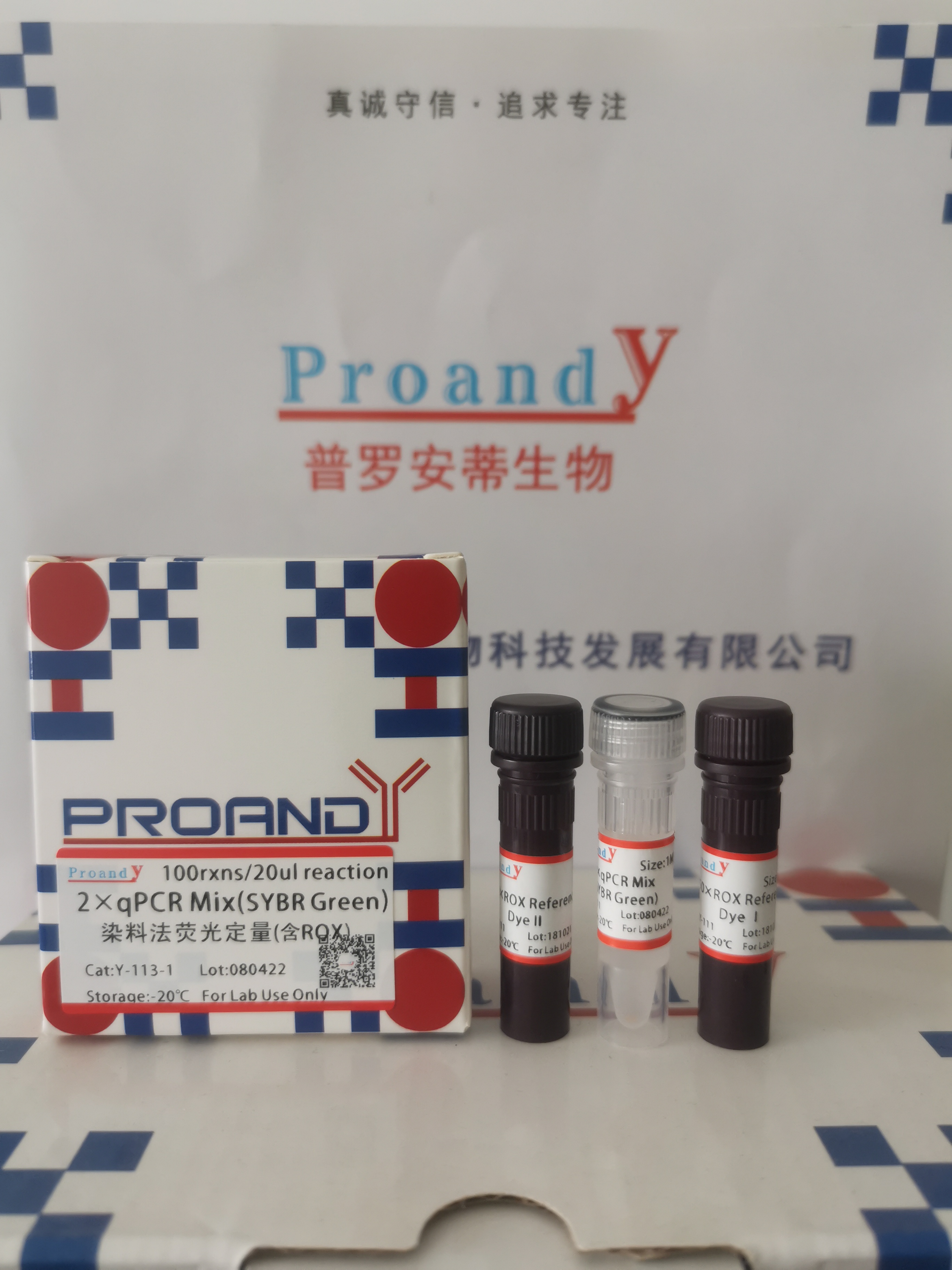 熒光定量（含ROX）.jpg